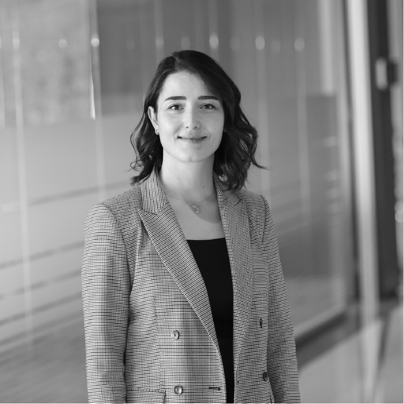 Gulsun Yuksel LinkedIn